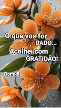 Bom-dia 