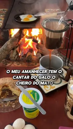 vivendo aqui no Mato