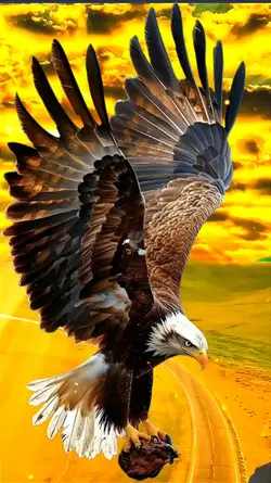 Eagle