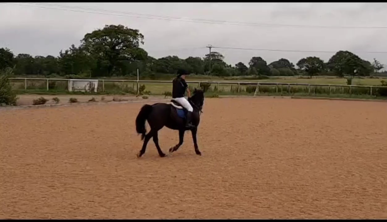 someone was spicy