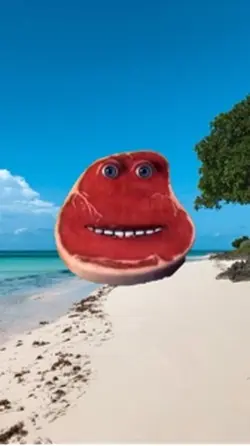 He’s in vacatio