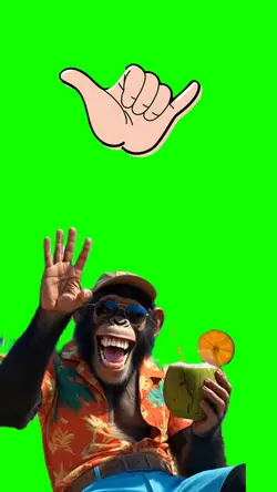 Hey bro
