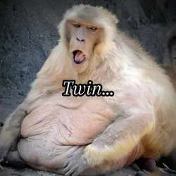 Fat Twin
