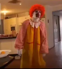 Ronald McDonald meme