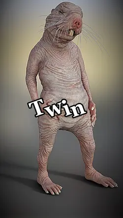 Twin ๐ฅ