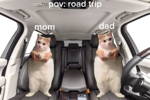 고양이 밈