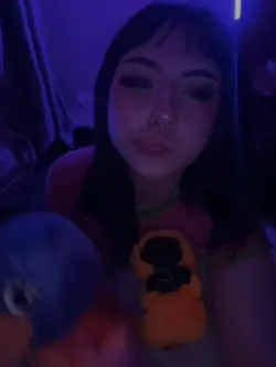 novo modelo 