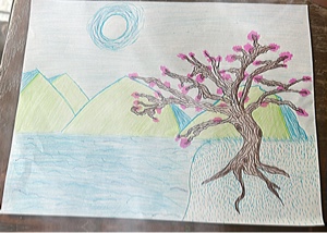 Cover Picture