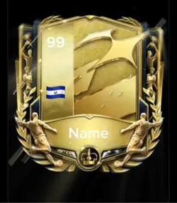 FIFA card2