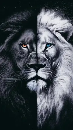 Faça com excelência 