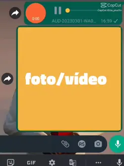 áudio ZAP