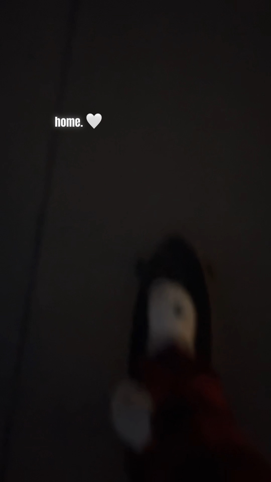 🌃🛹> >