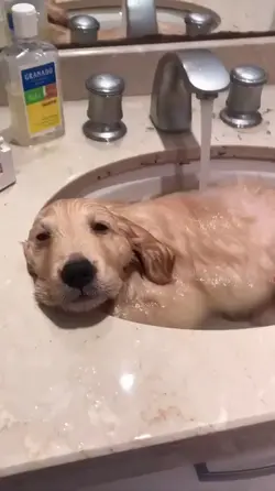 ta calor demais 