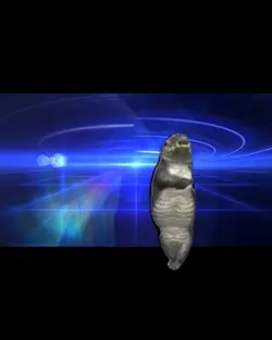 dancing alligator 😱