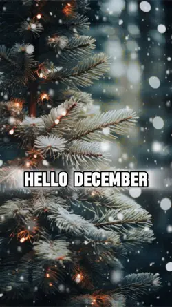 Hello December 