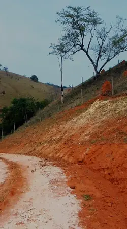 roça