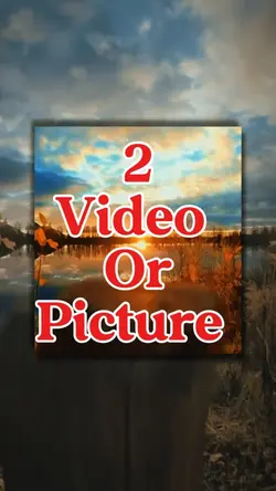 2 video or picture 