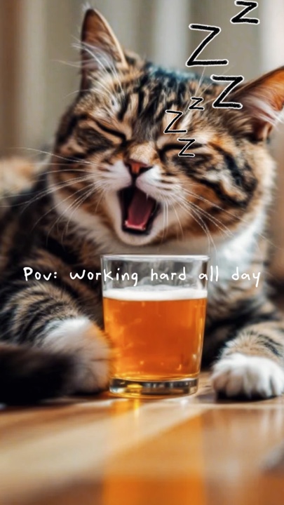 Schnarchende Katze