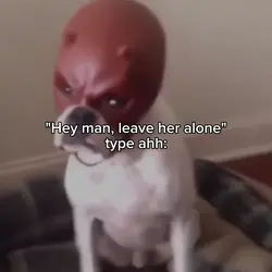 Dog With Mask