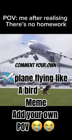 Plane bird meme 😭🦅✈️