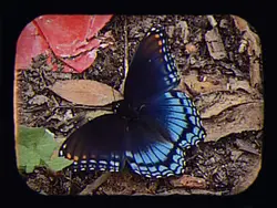 life outside