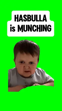 HASBULLA is MUNCHING