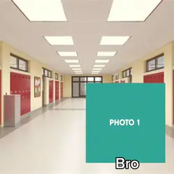 ayo school