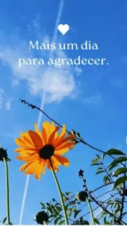 Agradecer