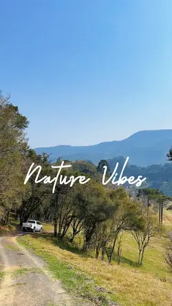 Nature Vibes 🍃✈️