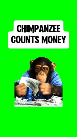 MONKEY COUNTING