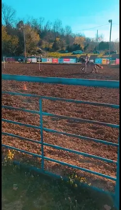 Poles