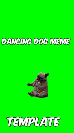Dancing dog meme