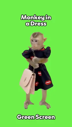 Monkey in a Dress