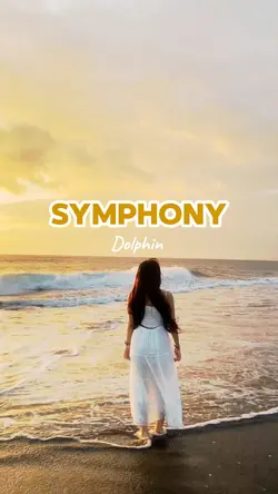 Symphony Dolphin 