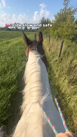 Gallop