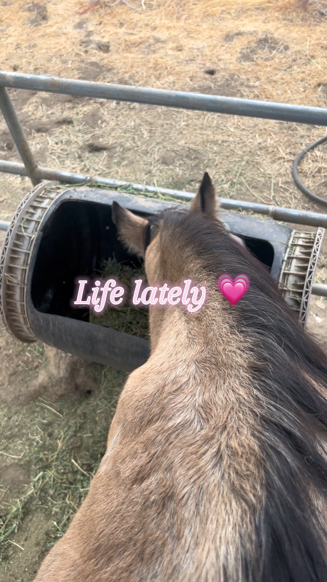 💗