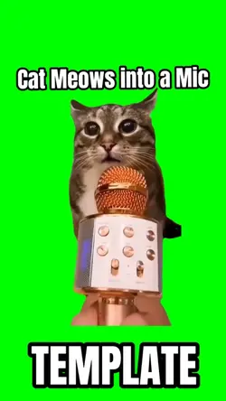 Cat meows in mic