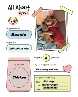All About My Pet 