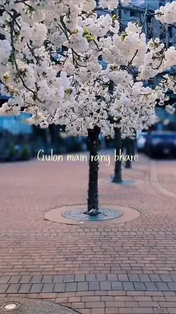 Gulon mai rang bhare