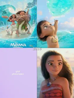 2016 vs 2024