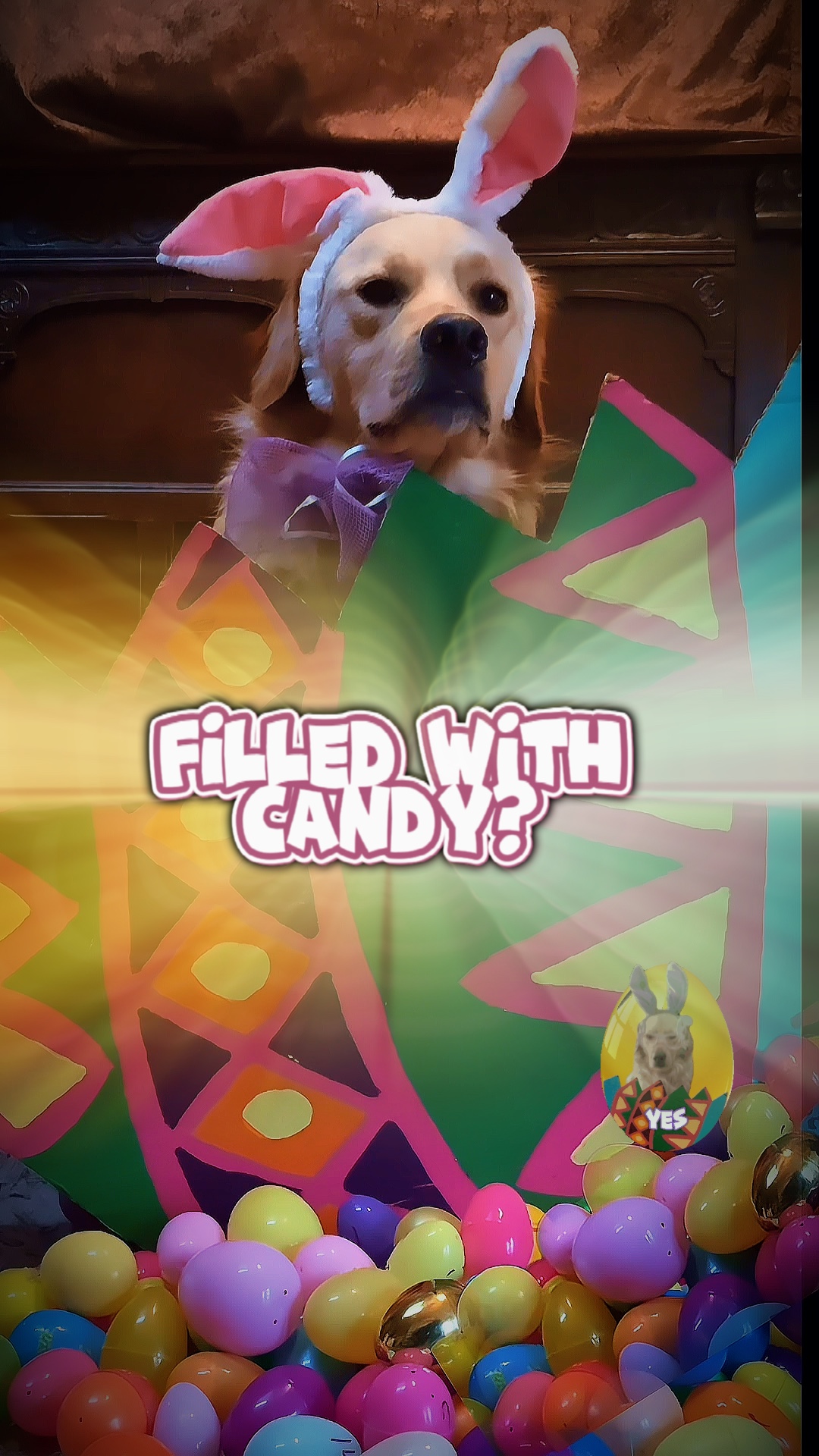 Você seria feliz?
