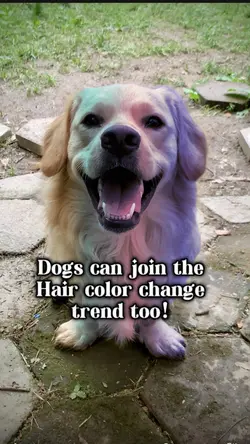 Pet hair color 💙🩵