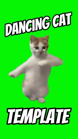 Dancing Cat 
