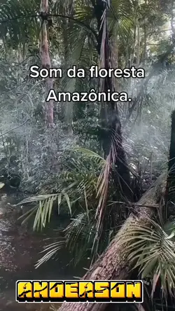 AMAZONAS 