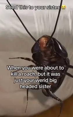 Sister