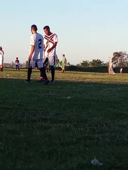 cada litro de sangue