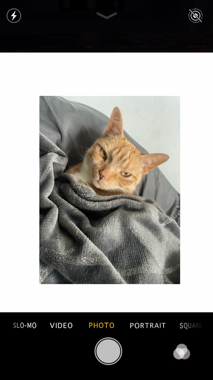 Camera roll upload❤️