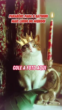 parabéns ao animal 