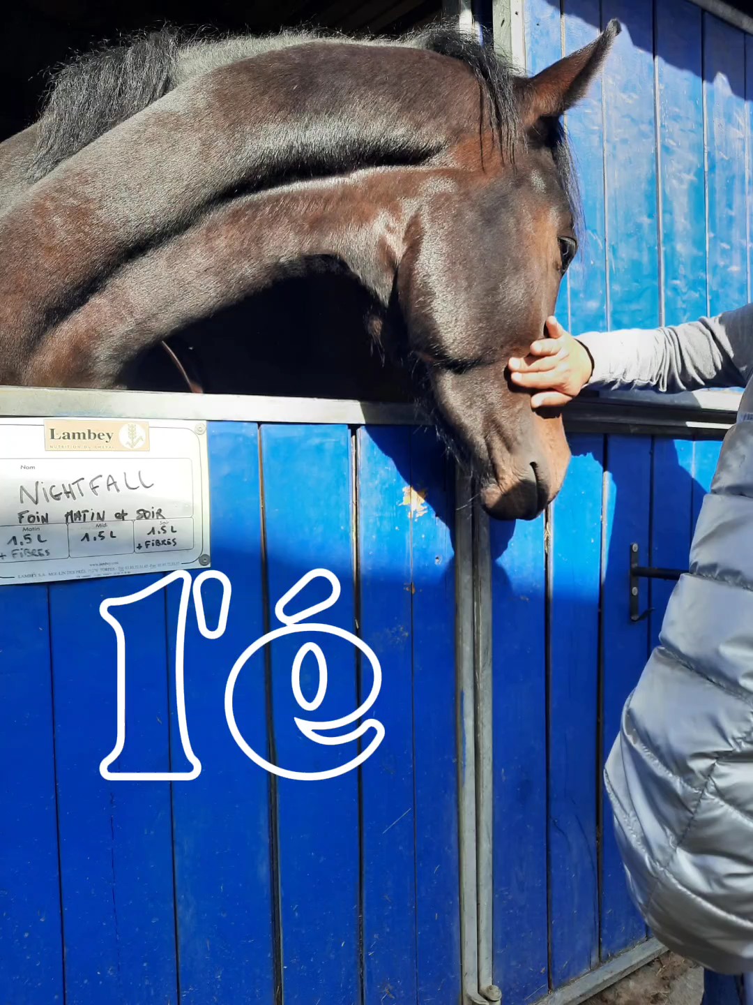 l'équitation °.  °