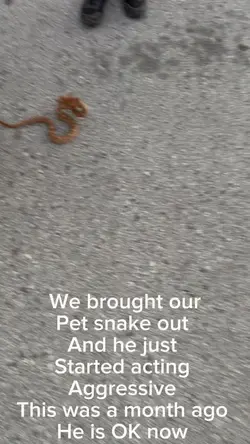 lol